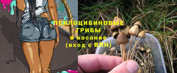 бошки Бугульма